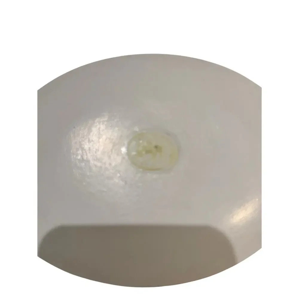 Michel Design Works “Beach” Glass Oval Soap Dish Island Caribbean Palm Trees